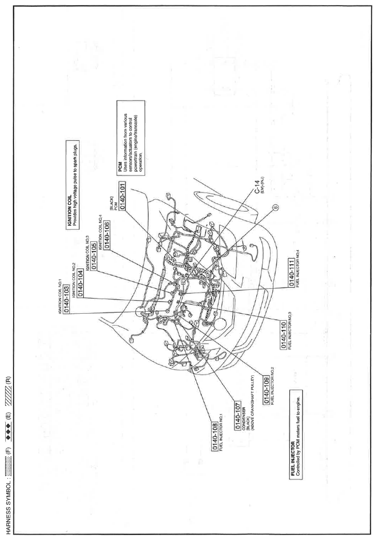 G11559164