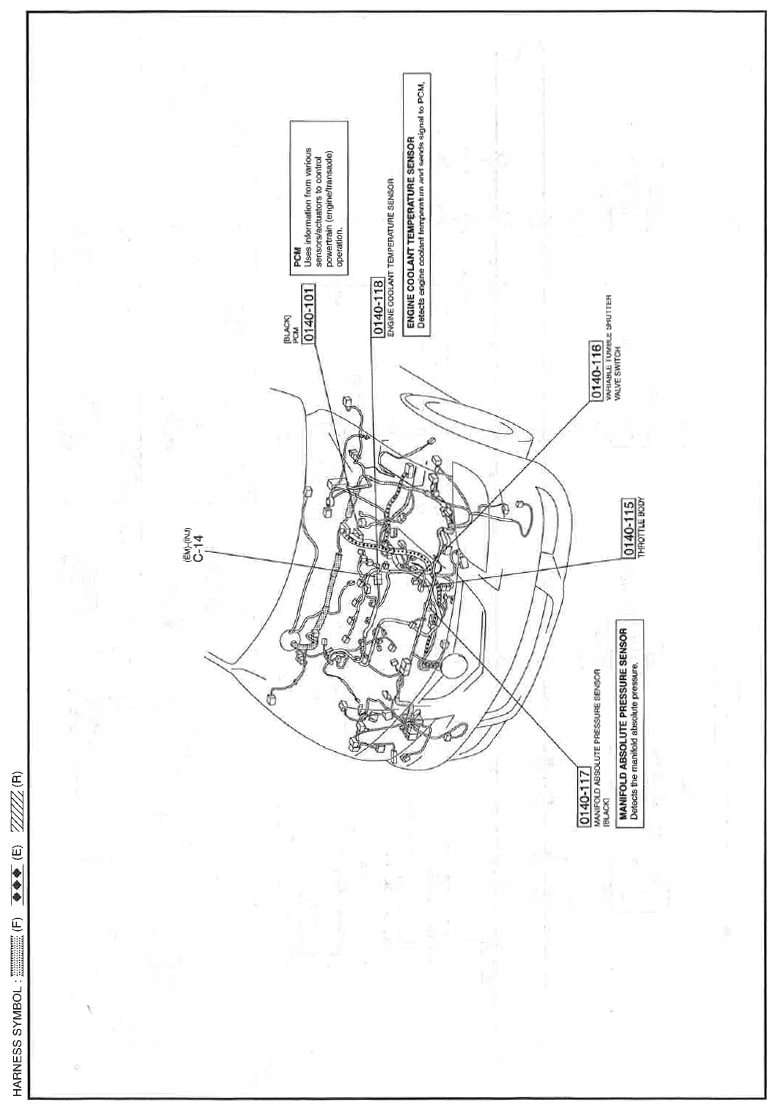 G11559168