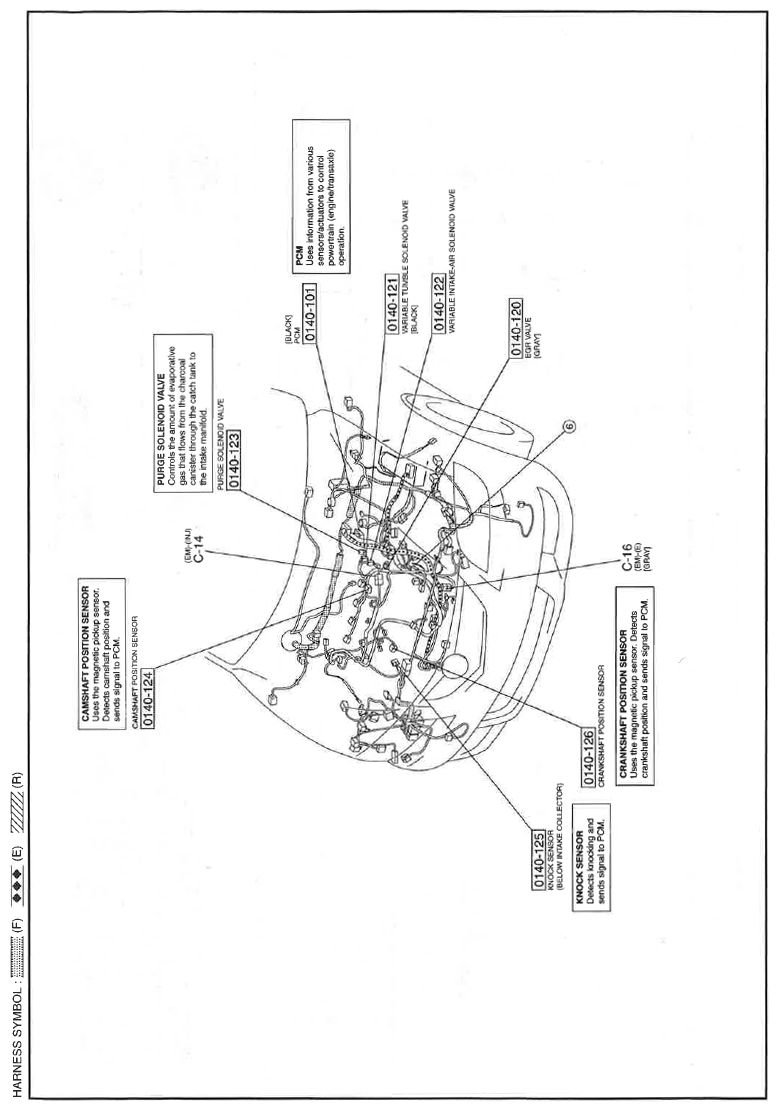 G11559170