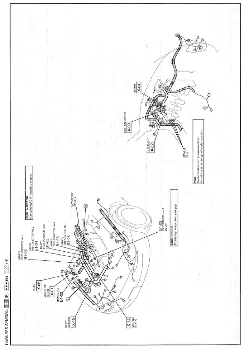 G11559677