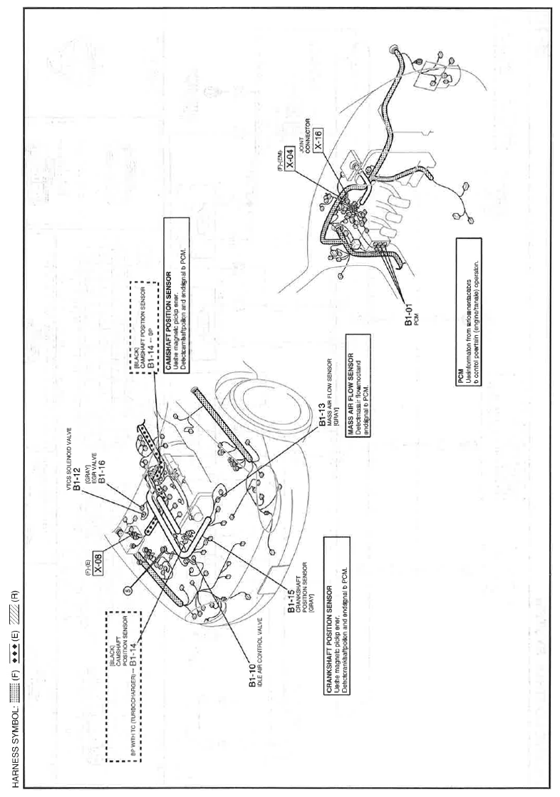 G11559679
