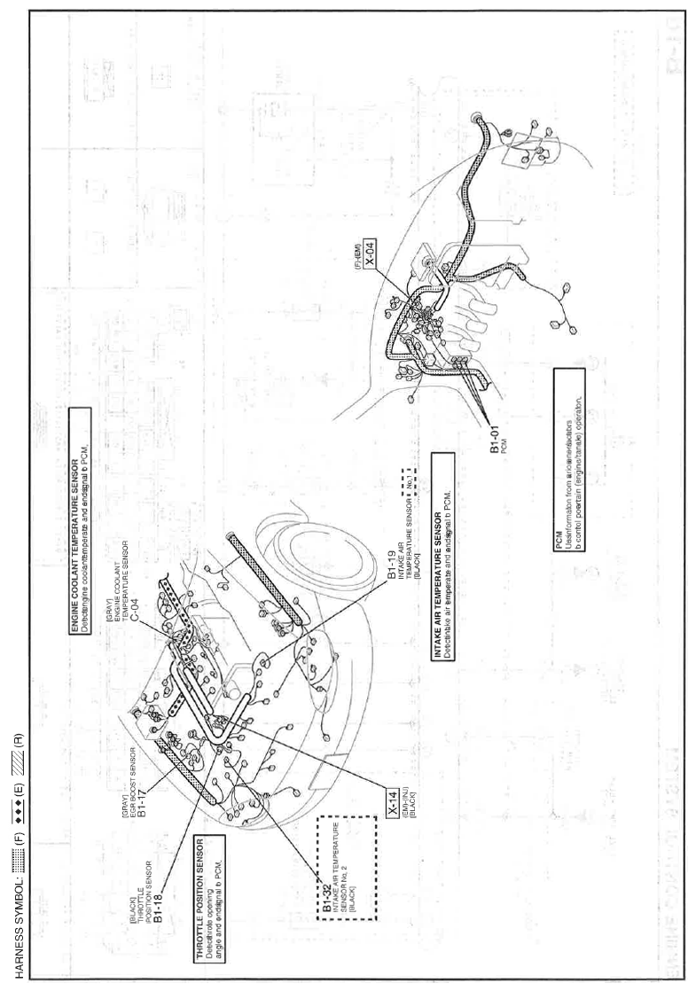 G11559681