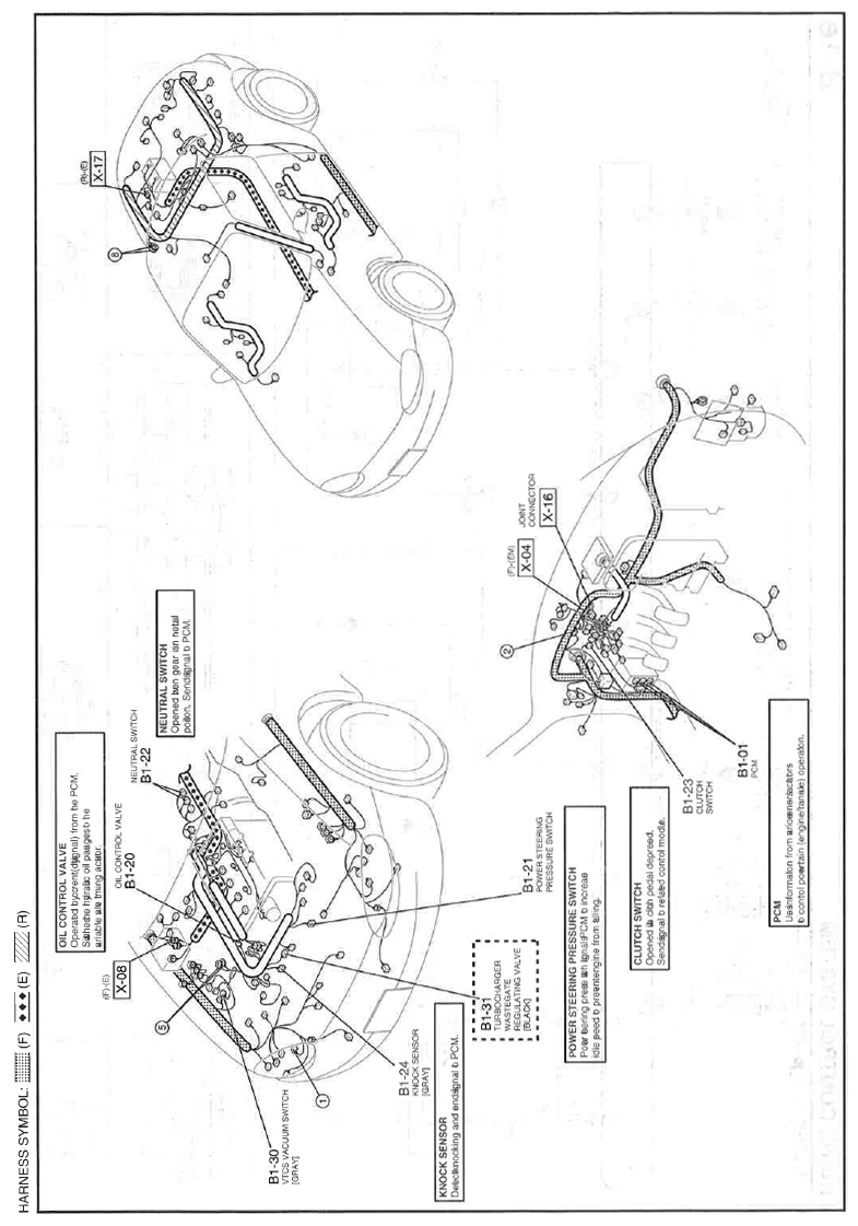 G11559683