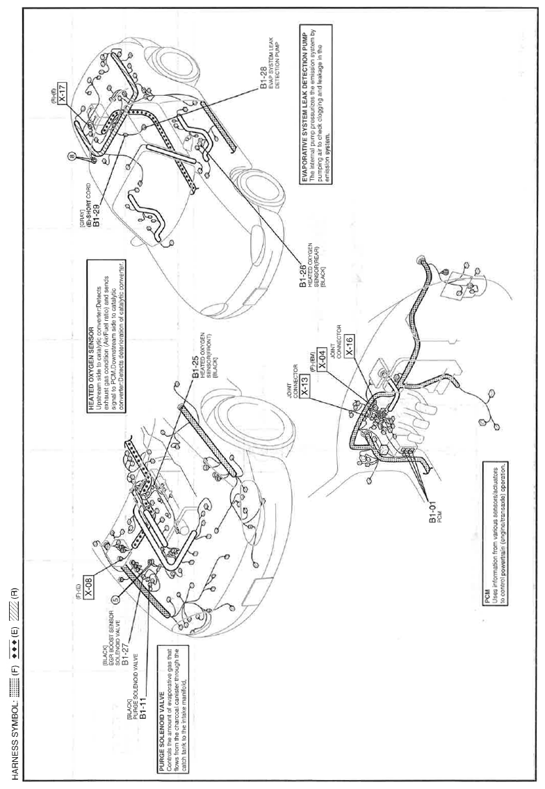G11559685