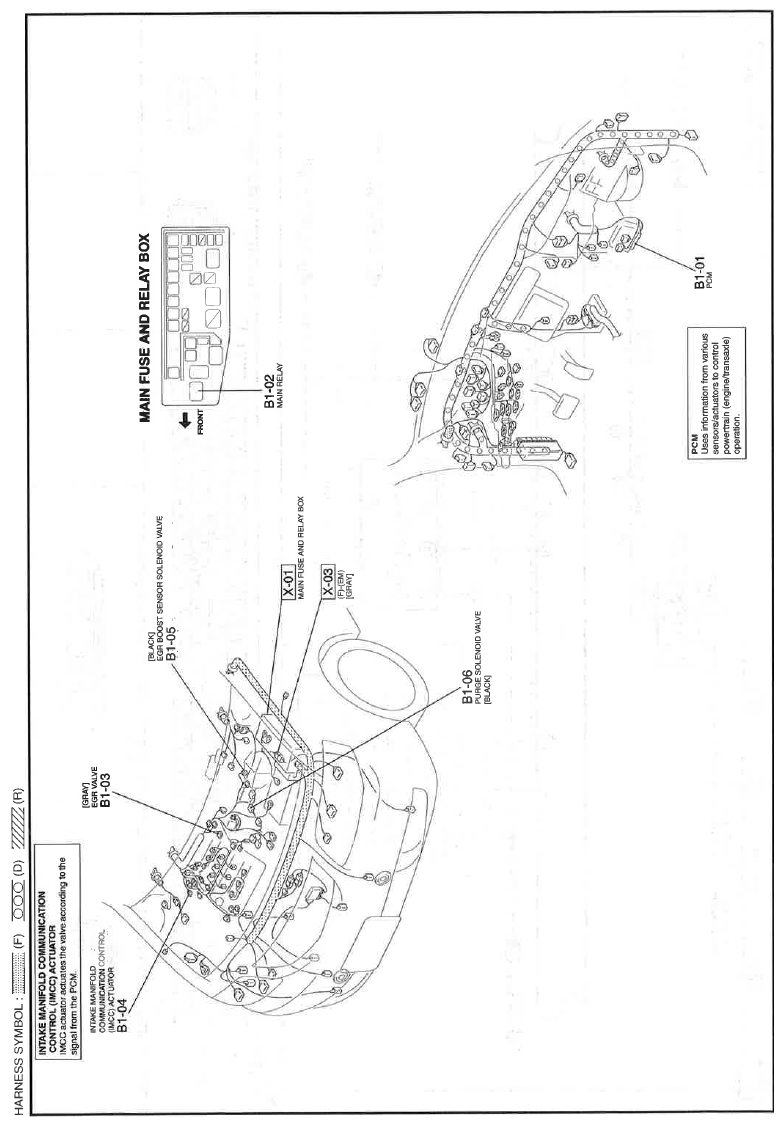 G11559859