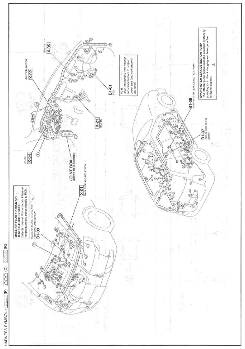 G11559861