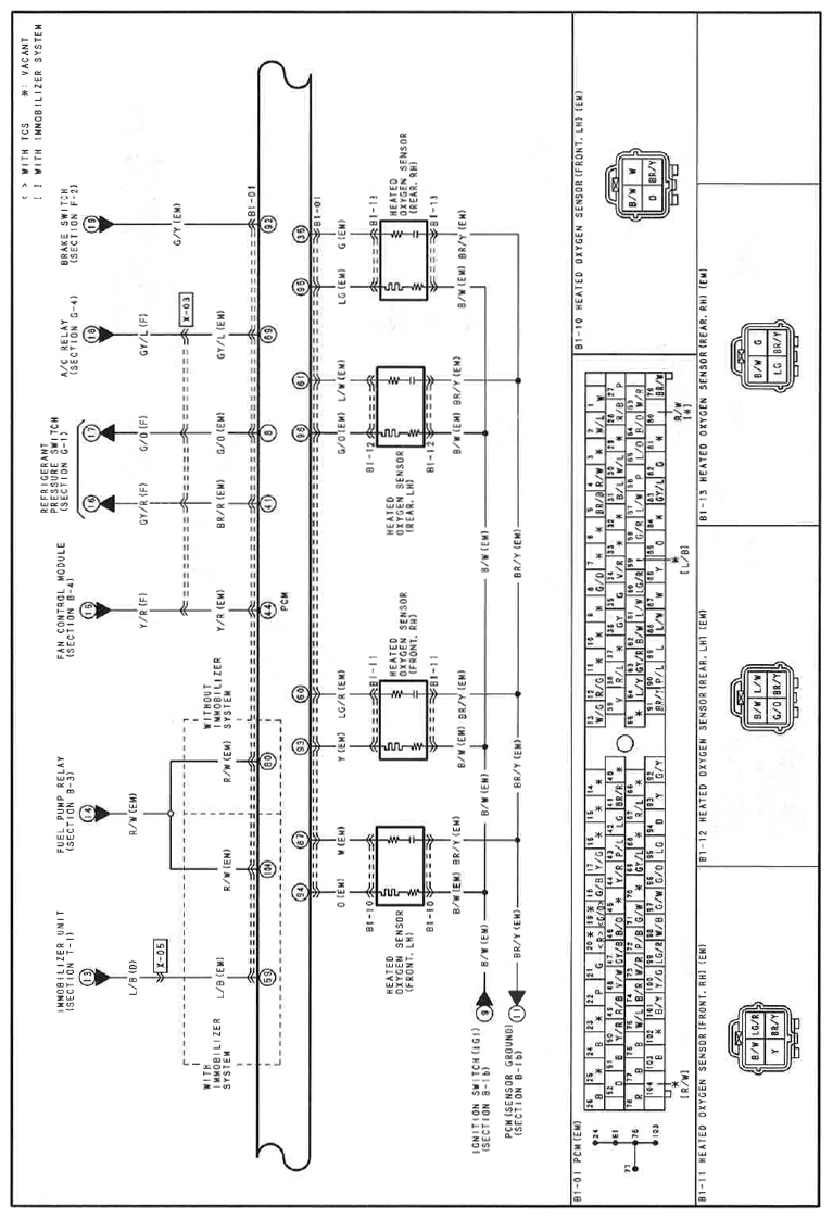 G11559862
