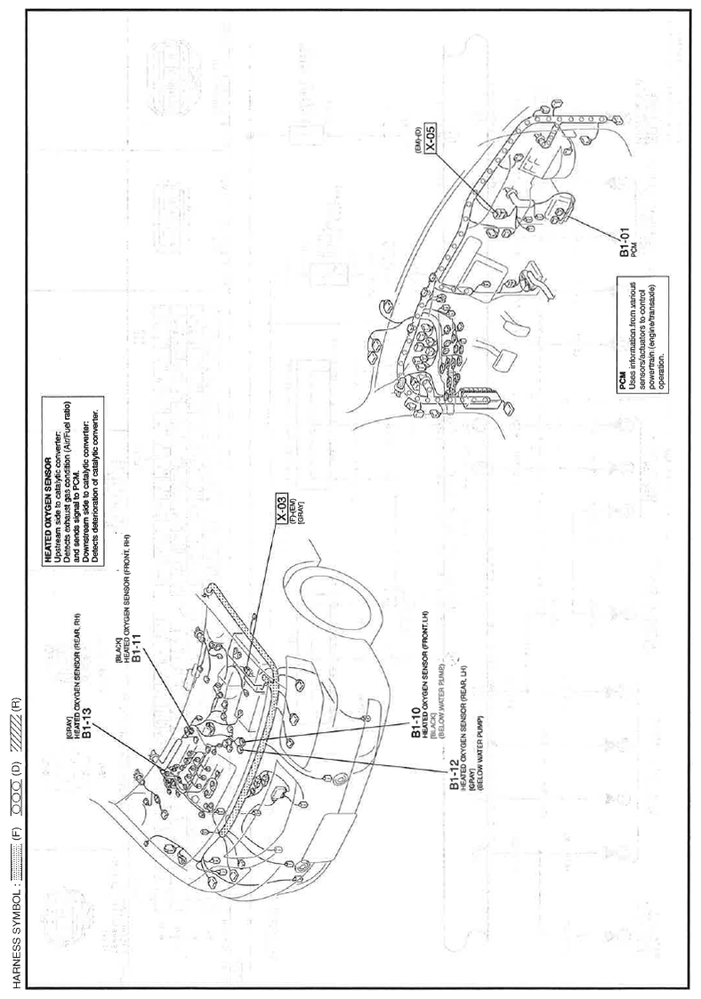 G11559863