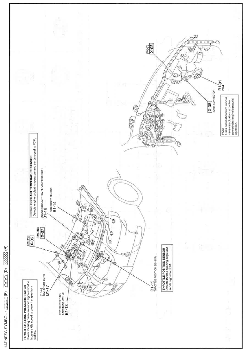 G11559865