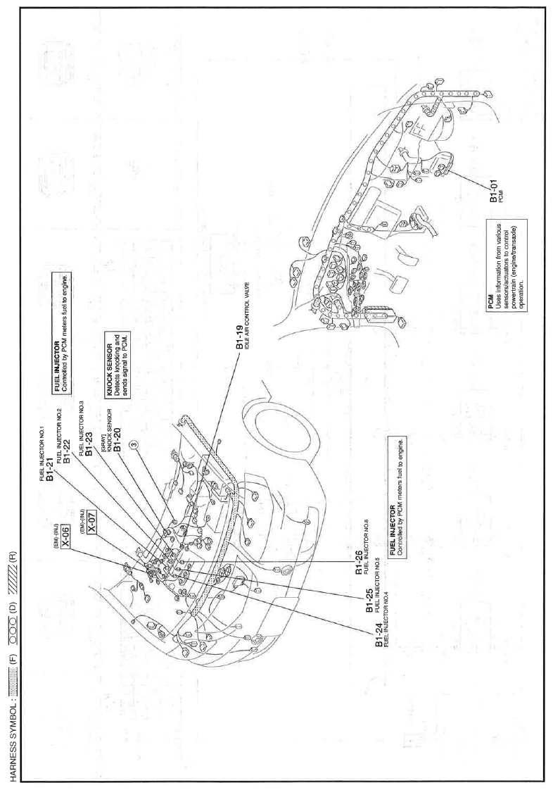 G11559867