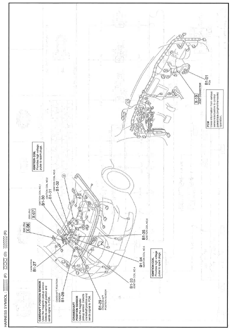 G11559869