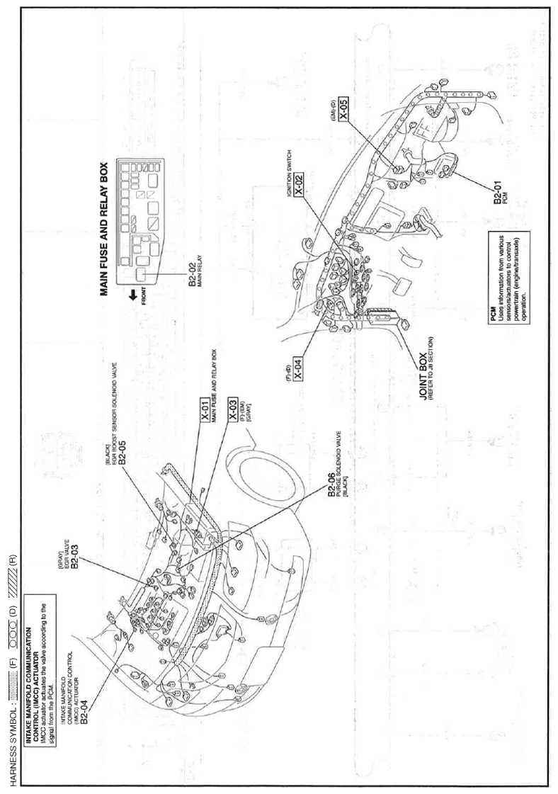 G11559871