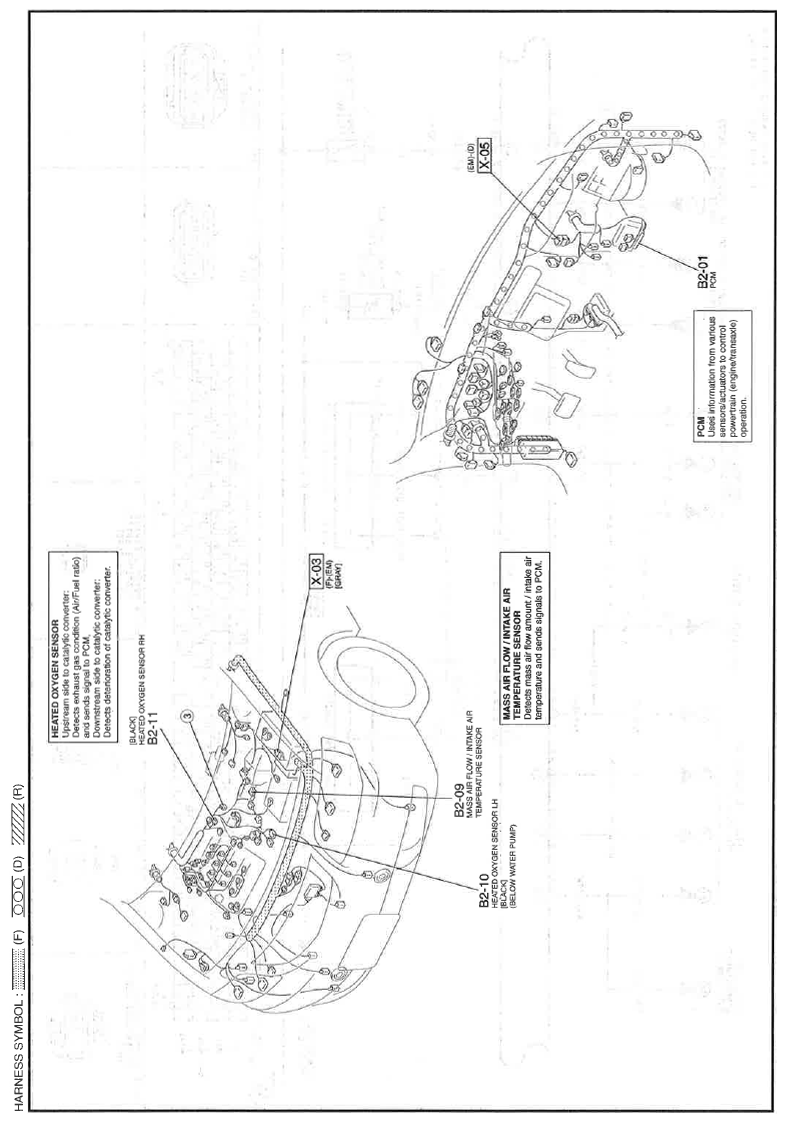 G11559873