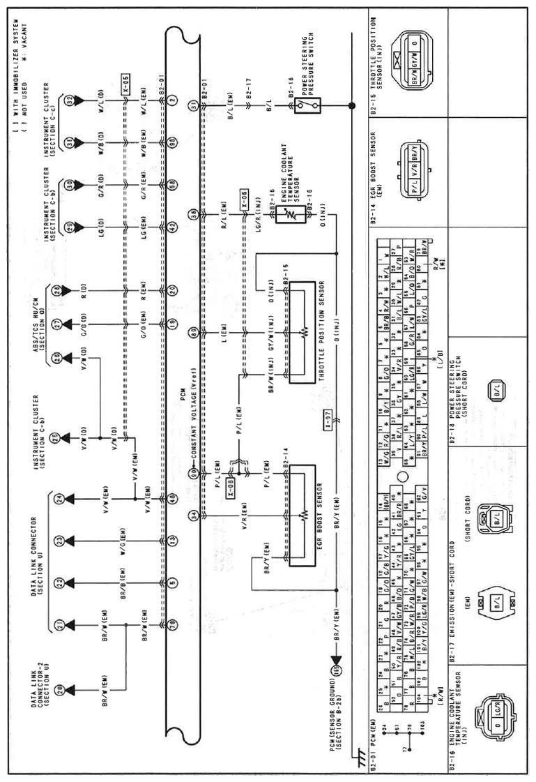 G11559874
