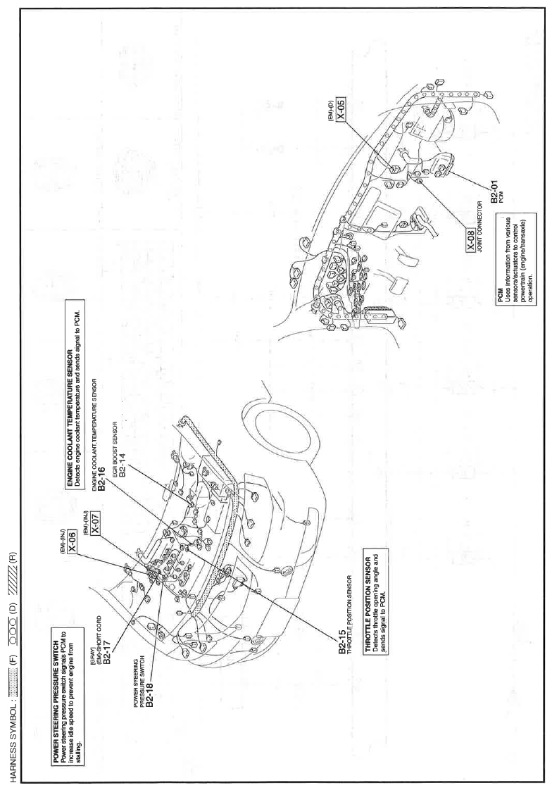 G11559875