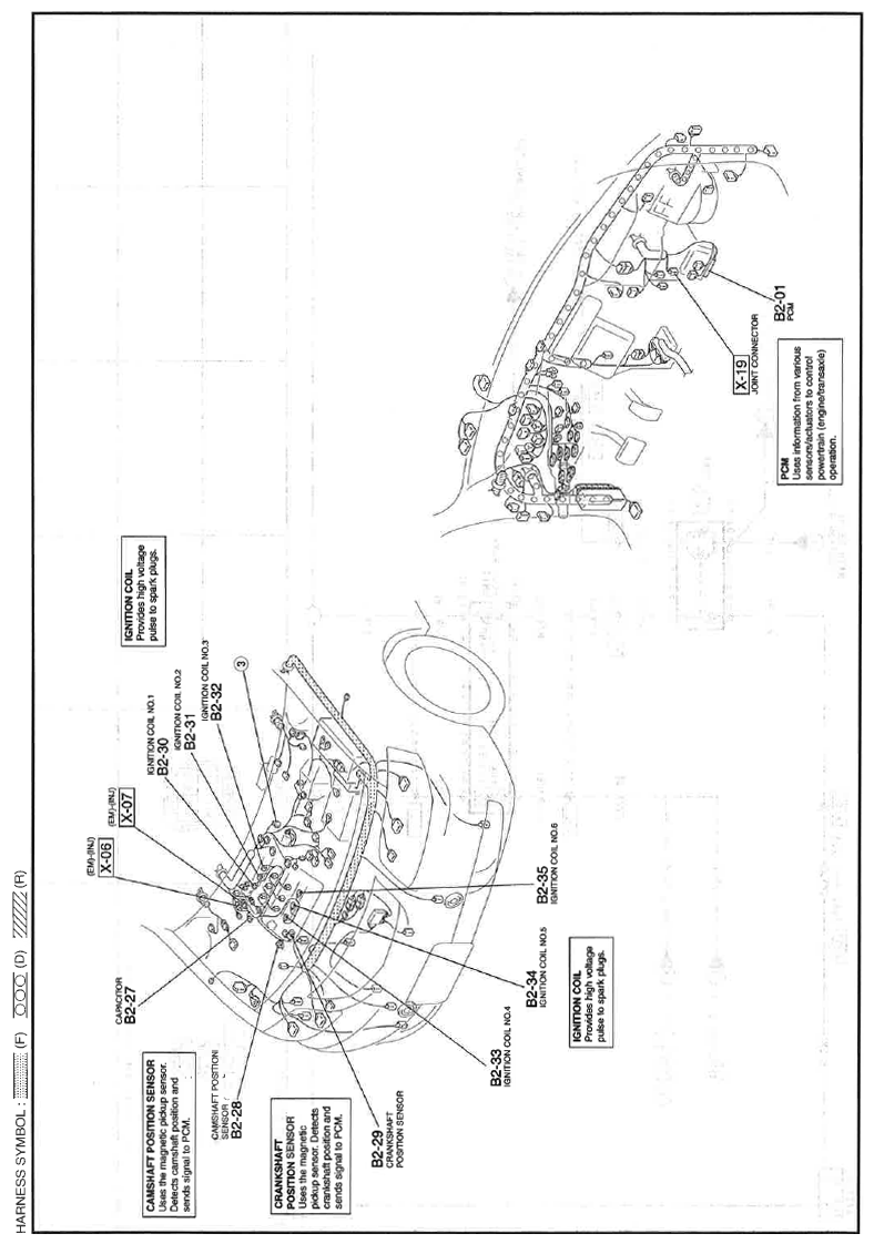G11559879