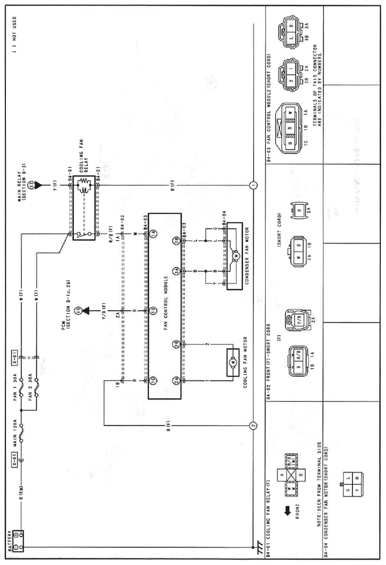 G11559882
