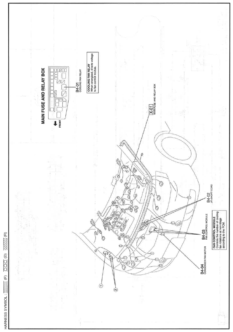 G11559883