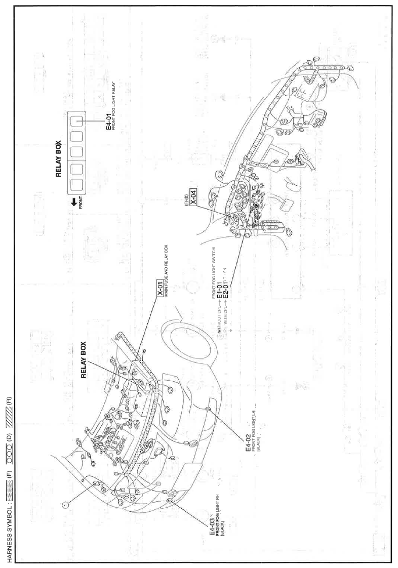G11559909