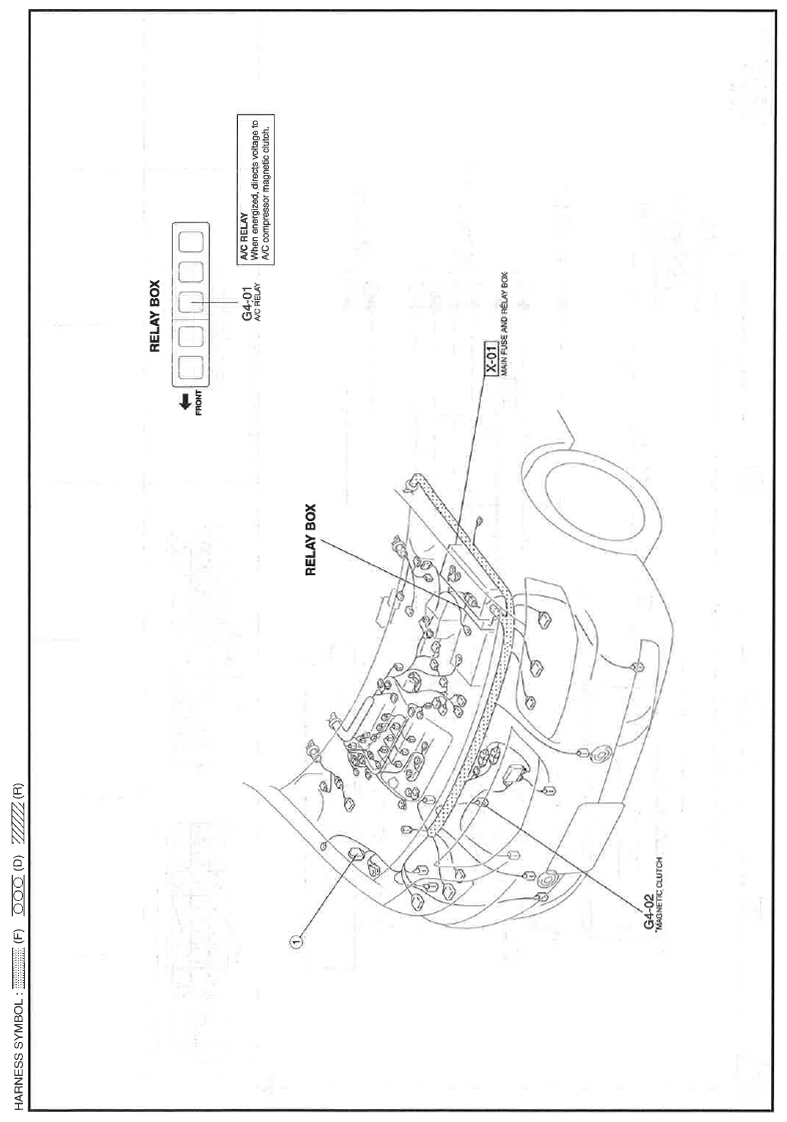 G11559923