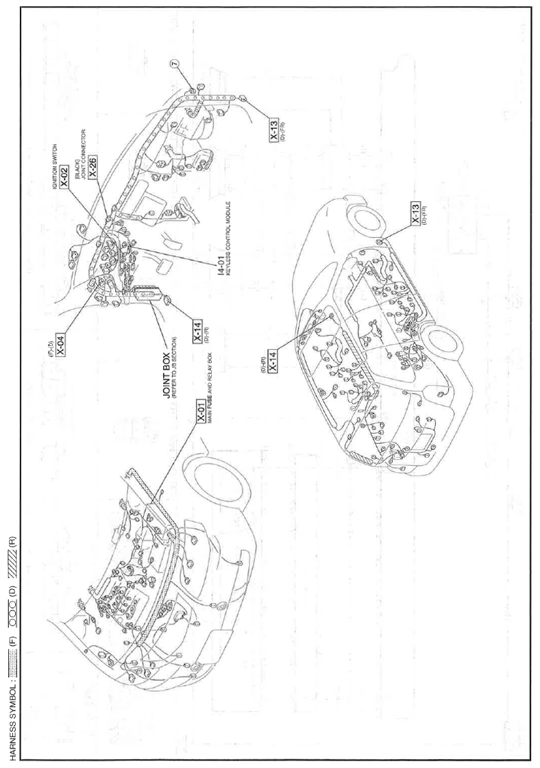 G11559941
