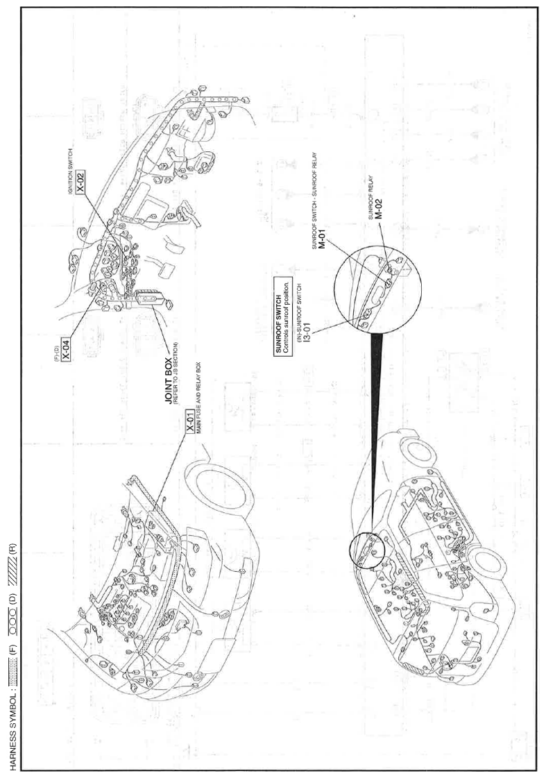 G11559967