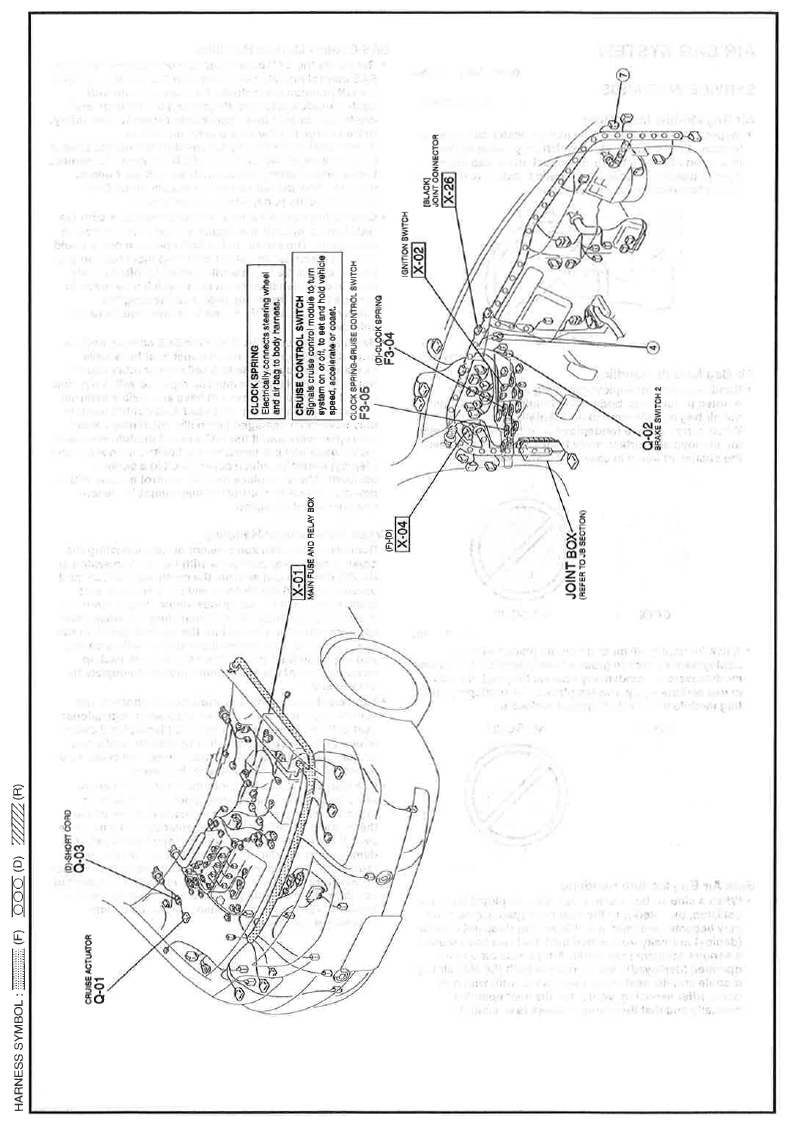 G11559973
