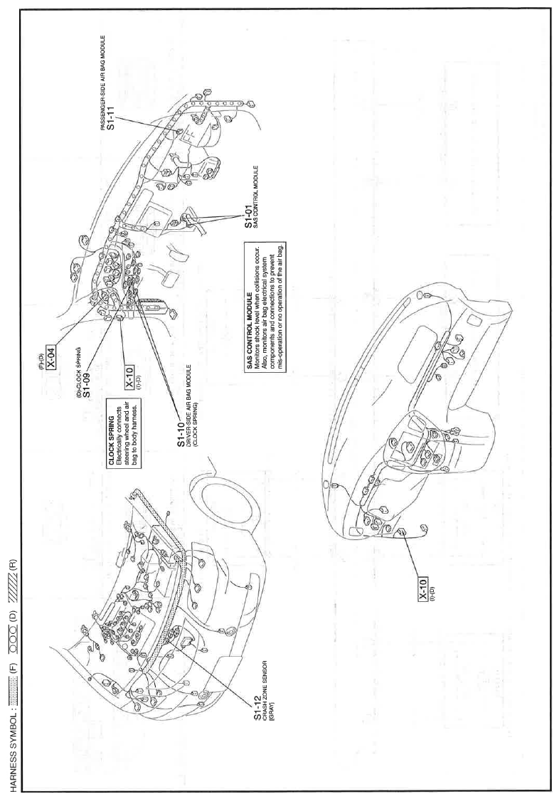 G11559984