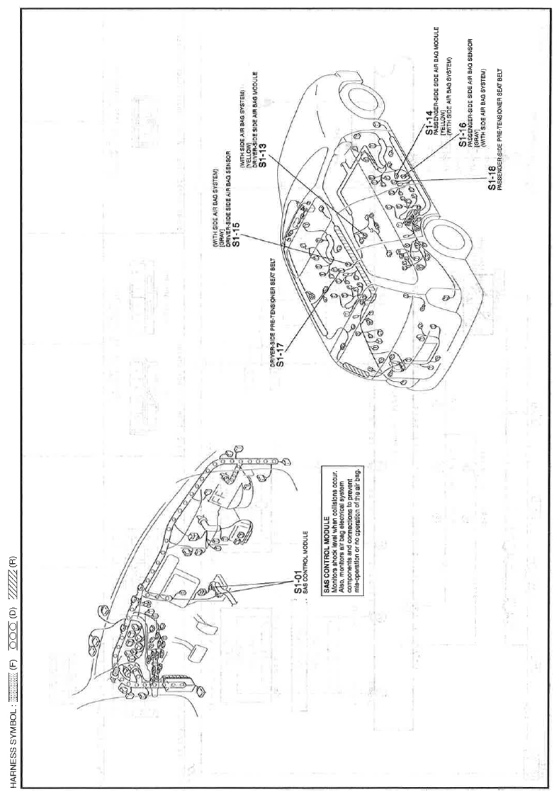 G11559986