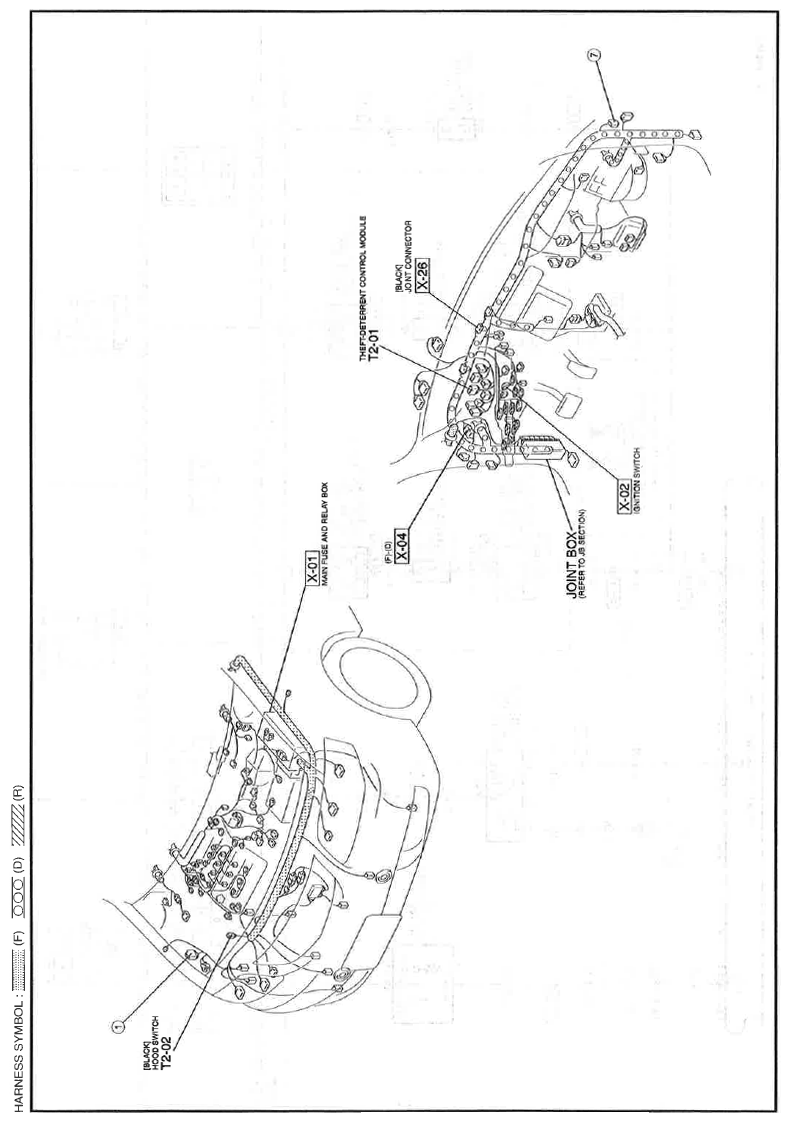 G11559994