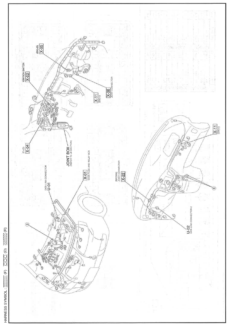 G11559998