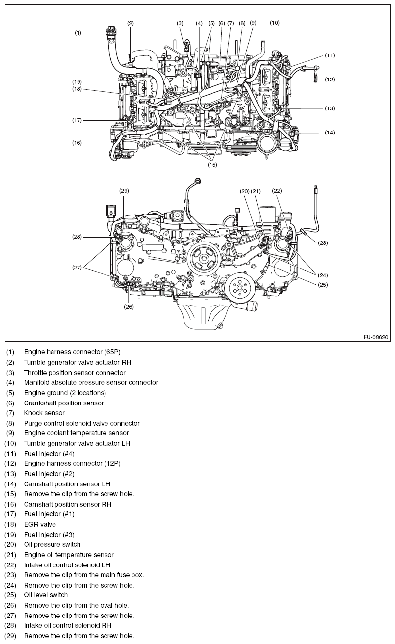 G11565943
