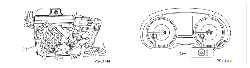 G11579858