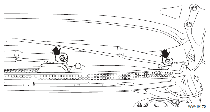 G11582569