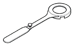 G11590798