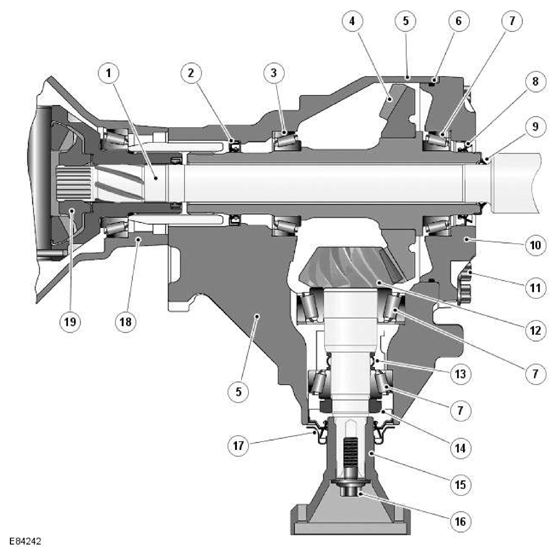 G11591612