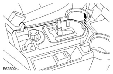 G11596833