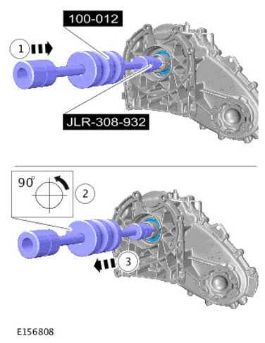 G11600065
