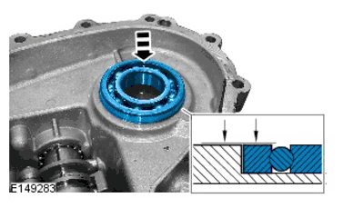 G11600217