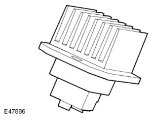 G11600784