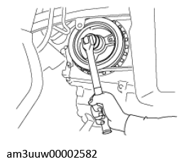 G11637660