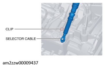 G11637666