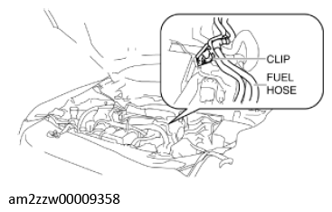 G11637668
