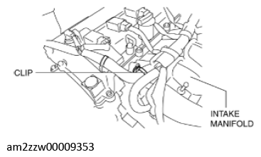 G11637669