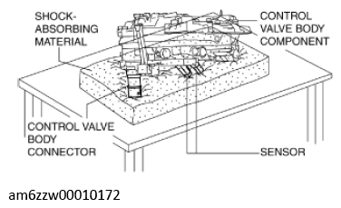 G11637748