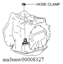 G11637808