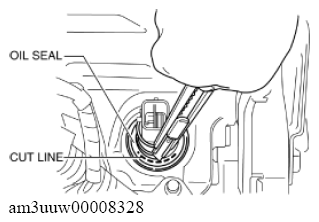 G11637809