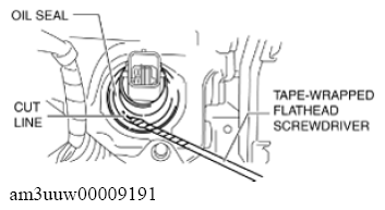 G11637810