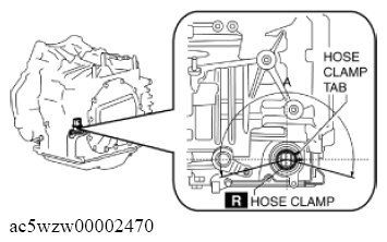 G11637813