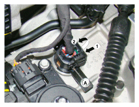 G11643879